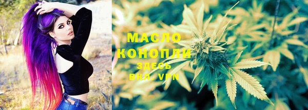 соль курить ск Каменка