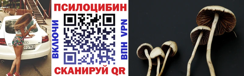 дарнет шоп  Лысково  Псилоцибиновые грибы Magic Shrooms 