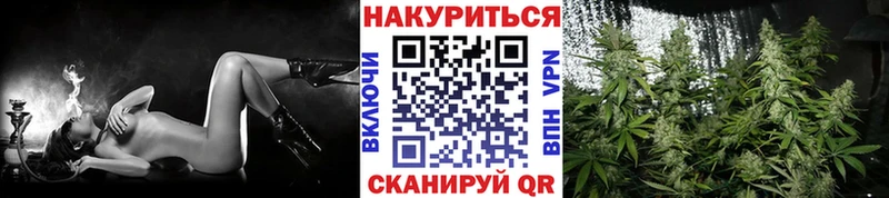 Каннабис планчик  Лысково 
